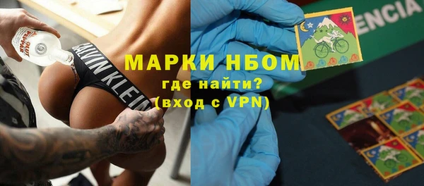 СК Вязьма