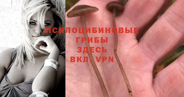a pvp Вяземский