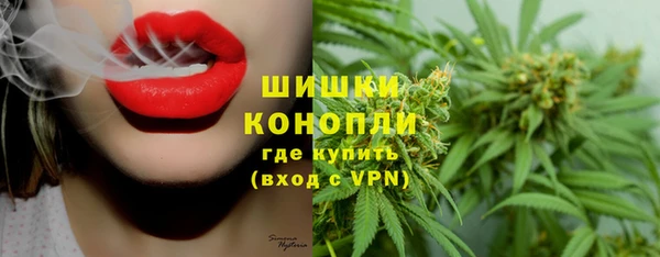СК Вязьма