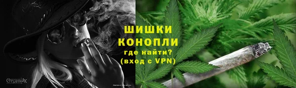 СК Вязьма
