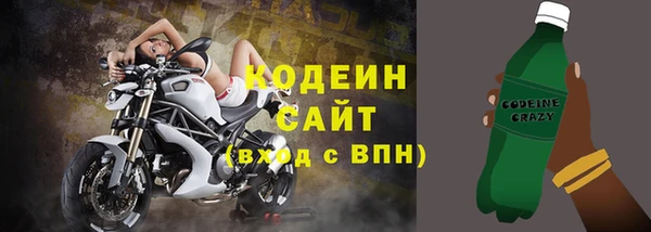 СК Вязьма