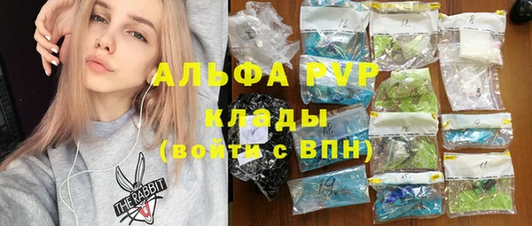 СК Вязьма