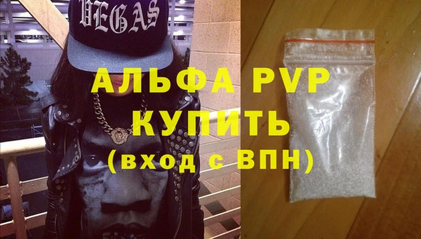СК Вязьма