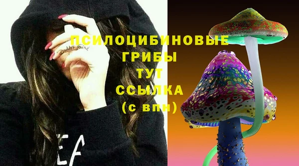 СК Вязьма