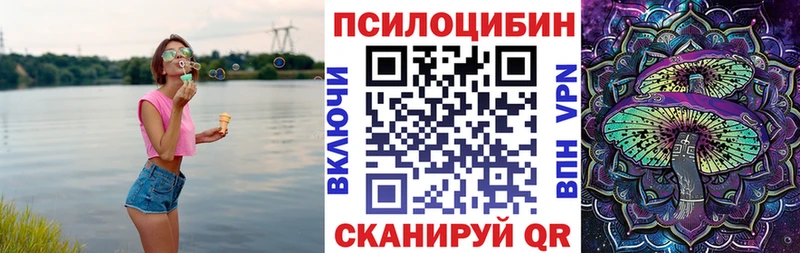 Купить закладки  Ковров  Галлюциногенные грибы Psilocybe 